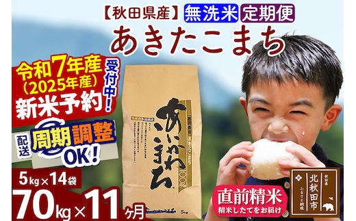 ※令和7年産 新米予約※《定期便11ヶ月》秋田県産 あきたこまち 70kg【無洗米】(5kg小分け袋) 2025年産 お届け時期選べる お届け周期調整可能 隔月に調整OK お米 藤岡農産