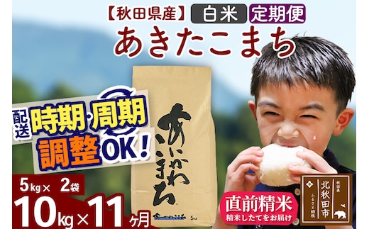 ※令和7年産※《定期便11ヶ月》秋田県産 あきたこまち 10kg【白米】(5kg小分け袋) 2025年産 お届け時期選べる お届け周期調整可能 隔月に調整OK お米 藤岡農産