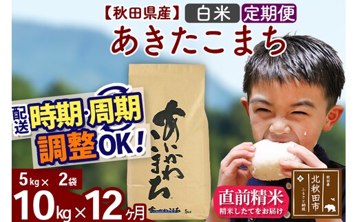 ※令和7年産※《定期便12ヶ月》秋田県産 あきたこまち 10kg【白米】(5kg小分け袋) 2025年産 お届け時期選べる お届け周期調整可能 隔月に調整OK お米 藤岡農産
