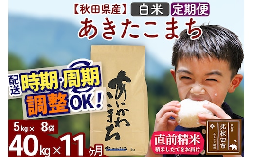 ※令和7年産※《定期便11ヶ月》秋田県産 あきたこまち 40kg【白米】(5kg小分け袋) 2025年産 お届け時期選べる お届け周期調整可能 隔月に調整OK お米 藤岡農産