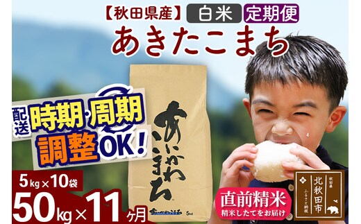 ※令和7年産※《定期便11ヶ月》秋田県産 あきたこまち 50kg【白米】(5kg小分け袋) 2025年産 お届け時期選べる お届け周期調整可能 隔月に調整OK お米 藤岡農産