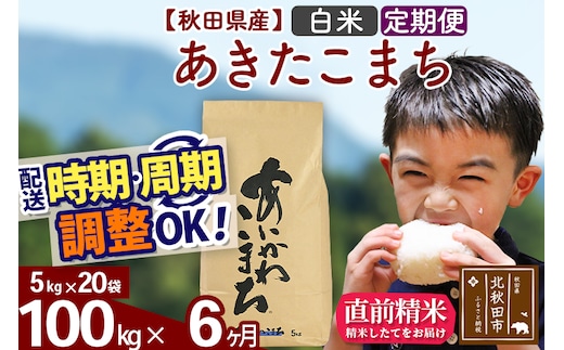 ※令和7年産※《定期便6ヶ月》秋田県産 あきたこまち 100kg【白米】(5kg小分け袋) 2025年産 お届け時期選べる お届け周期調整可能 隔月に調整OK お米 藤岡農産