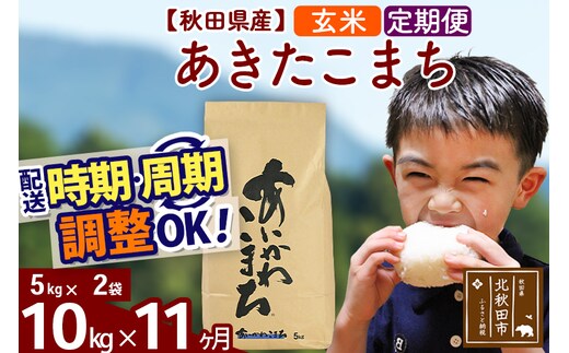※令和7年産※《定期便11ヶ月》秋田県産 あきたこまち 10kg【玄米】(5kg小分け袋) 2025年産 お届け時期選べる お届け周期調整可能 隔月に調整OK お米 藤岡農産