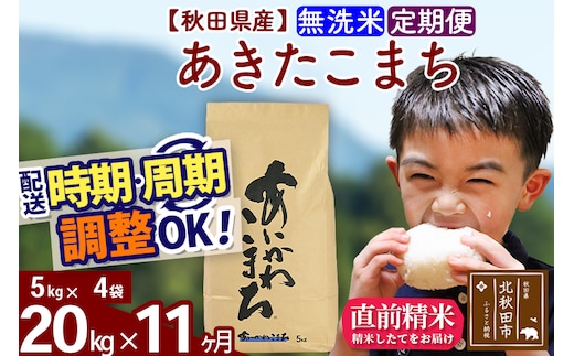 ※令和7年産※《定期便11ヶ月》秋田県産 あきたこまち 20kg【無洗米】(5kg小分け袋) 2025年産 お届け時期選べる お届け周期調整可能 隔月に調整OK お米 藤岡農産