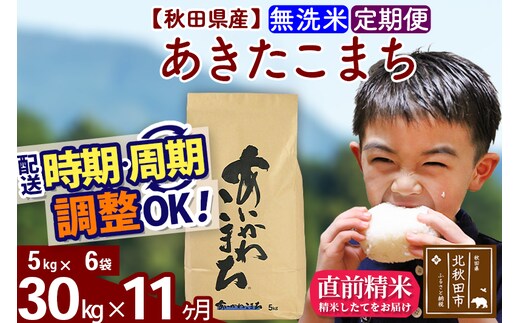 ※令和7年産※《定期便11ヶ月》秋田県産 あきたこまち 30kg【無洗米】(5kg小分け袋) 2025年産 お届け時期選べる お届け周期調整可能 隔月に調整OK お米 藤岡農産