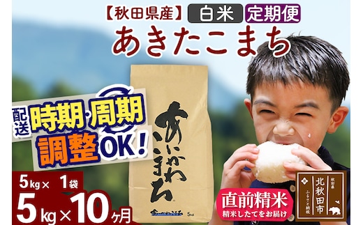 ※令和7年産※《定期便10ヶ月》秋田県産 あきたこまち 5kg【白米】(5kg小分け袋) 2025年産 お届け時期選べる お届け周期調整可能 隔月に調整OK お米 藤岡農産