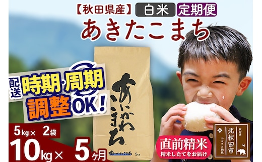 ※令和7年産※《定期便5ヶ月》秋田県産 あきたこまち 10kg【白米】(5kg小分け袋) 2025年産 お届け時期選べる お届け周期調整可能 隔月に調整OK お米 藤岡農産