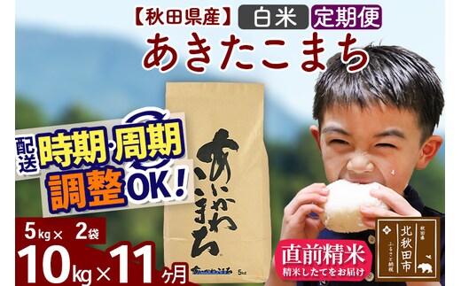 ※令和7年産※《定期便11ヶ月》秋田県産 あきたこまち 10kg【白米】(5kg小分け袋) 2025年産 お届け時期選べる お届け周期調整可能 隔月に調整OK お米 藤岡農産