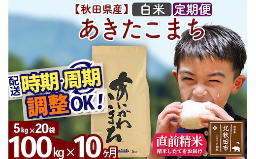 ※令和7年産※《定期便10ヶ月》秋田県産 あきたこまち 100kg【白米】(5kg小分け袋) 2025年産 お届け時期選べる お届け周期調整可能 隔月に調整OK お米 藤岡農産