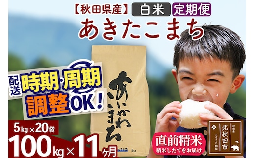 ※令和7年産※《定期便11ヶ月》秋田県産 あきたこまち 100kg【白米】(5kg小分け袋) 2025年産 お届け時期選べる お届け周期調整可能 隔月に調整OK お米 藤岡農産