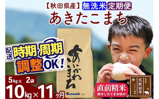 ※令和7年産※《定期便11ヶ月》秋田県産 あきたこまち 10kg【無洗米】(5kg小分け袋) 2025年産 お届け時期選べる お届け周期調整可能 隔月に調整OK お米 藤岡農産