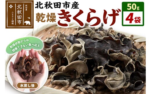 国産 乾燥きくらげ 200g 天日干し 秋田県北秋田市産 [きくらげ 木耳 キクラゲ 乾燥 手のひらサイズ 秋田県 北秋田市]