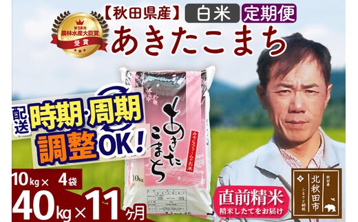※令和7年産※《定期便11ヶ月》秋田県産 あきたこまち 40kg【白米】(10kg袋) 2025年産 お届け時期選べる お届け周期調整可能 隔月に調整OK お米 みそらファーム [みそらファーム 秋田 お米 あきたこまち 米どころ 東北 北秋田市 秋田県産 冷めてもおいしい おにぎり おむすび お弁当 白米]