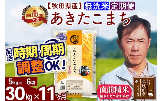 ※令和7年産※《定期便11ヶ月》秋田県産 あきたこまち 30kg【無洗米】(5kg小分け袋) 2025年産 お届け時期選べる お届け周期調整可能 隔月に調整OK お米 みそらファーム [みそらファーム 秋田 お米 あきたこまち 米どころ 東北 北秋田市 秋田県産 冷めてもおいしい おにぎり おむすび お弁当 白米]