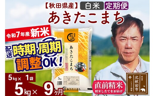 ※令和7年産 新米※《定期便9ヶ月》秋田県産 あきたこまち 5kg【白米】(5kg小分け袋) 2025年産 お届け時期選べる お届け周期調整可能 隔月に調整OK お米 みそらファーム