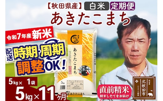 ※令和7年産 新米※《定期便11ヶ月》秋田県産 あきたこまち 5kg【白米】(5kg小分け袋) 2025年産 お届け時期選べる お届け周期調整可能 隔月に調整OK お米 みそらファーム