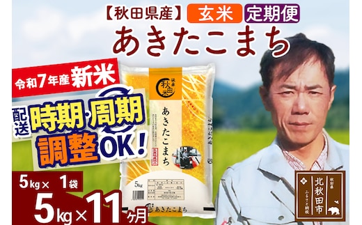 ※令和7年産 新米※《定期便11ヶ月》秋田県産 あきたこまち 5kg【玄米】(5kg小分け袋) 2025年産 お届け時期選べる お届け周期調整可能 隔月に調整OK お米 みそらファーム