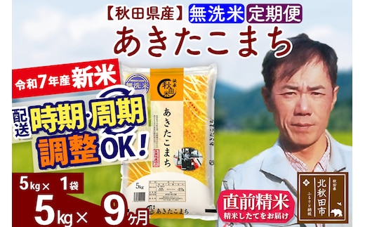 ※令和7年産 新米※《定期便9ヶ月》秋田県産 あきたこまち 5kg【無洗米】(5kg小分け袋) 2025年産 お届け時期選べる お届け周期調整可能 隔月に調整OK お米 みそらファーム