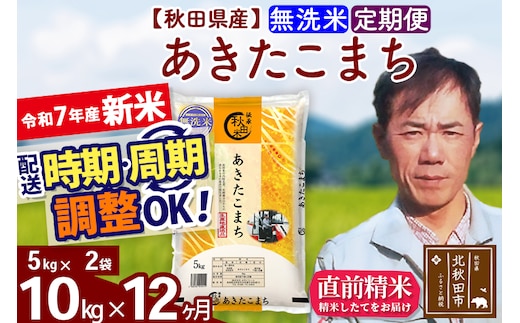 ※令和7年産 新米※《定期便12ヶ月》秋田県産 あきたこまち 10kg【無洗米】(5kg小分け袋) 2025年産 お届け時期選べる お届け周期調整可能 隔月に調整OK お米 みそらファーム