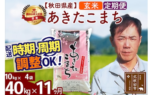 ※令和7年産※《定期便11ヶ月》秋田県産 あきたこまち 40kg【玄米】(10kg袋) 2025年産 お届け時期選べる お届け周期調整可能 隔月に調整OK お米 みそらファーム