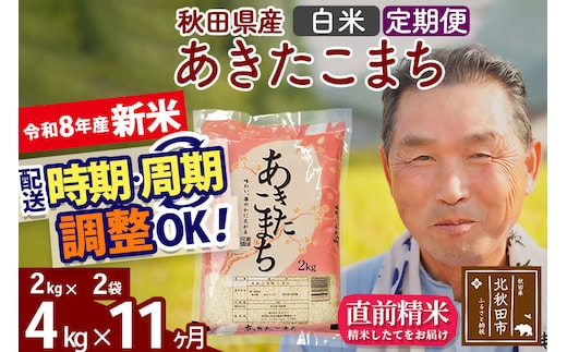 新米★令和8年産 《定期便11ヶ月》秋田県産 あきたこまち 4kg【白米】(2kg小分け袋) 2026年産 お届け時期選べる お届け周期調整可能 隔月に調整OK お米 おおもり [おおもり 秋田 お米 あきたこまち 米どころ 東北 北秋田市 定期便 毎月お届け]