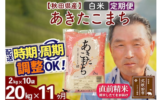 令和7年産《定期便11ヶ月》秋田県産 あきたこまち 20kg【白米】(2kg小分け袋) 2025年産 お届け時期選べる お届け周期調整可能 隔月に調整OK お米 おおもり [おおもり 秋田 お米 あきたこまち 米どころ 東北 北秋田市 定期便 毎月お届け]