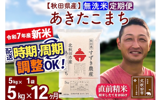 ※令和7年産 新米※《定期便12ヶ月》秋田県産 あきたこまち 5kg【無洗米】(5kg小分け袋) 2025年産 お届け時期選べる お届け周期調整可能 隔月に調整OK お米 すずき農産