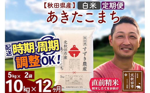 ※令和7年産※《定期便12ヶ月》秋田県産 あきたこまち 10kg【白米】(5kg小分け袋) 2025年産 お届け時期選べる お届け周期調整可能 隔月に調整OK お米 すずき農産
