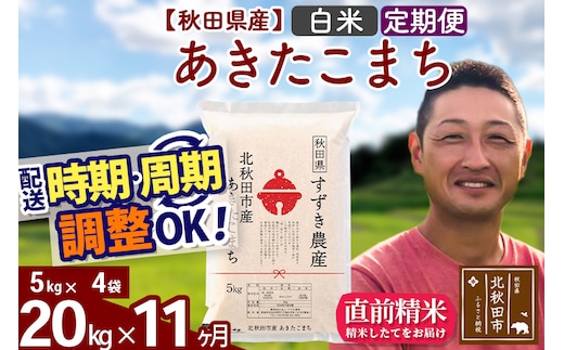 ※令和7年産※《定期便11ヶ月》秋田県産 あきたこまち 20kg【白米】(5kg小分け袋) 2025年産 お届け時期選べる お届け周期調整可能 隔月に調整OK お米 すずき農産