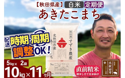 ※令和7年産※《定期便11ヶ月》秋田県産 あきたこまち 10kg【白米】(5kg小分け袋) 2025年産 お届け時期選べる お届け周期調整可能 隔月に調整OK お米 すずき農産