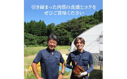 秋田県産比内地鶏肉の焼き鳥30本セット(15本×2袋)（やきとり 焼鳥 人気