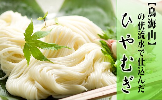 ひやむぎ200g×10束（20人前 冷麦 冷や麦） 麺類 