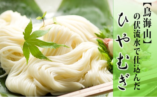 ひやむぎ5束（10人前）の定期便（3ヵ月連続） 麺類 冷麦 