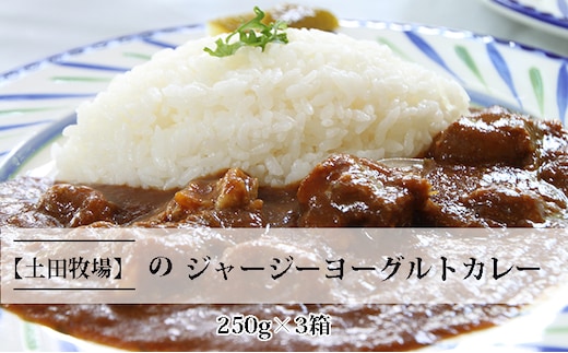 ジャージーヨーグルトカレー 250g×3箱 加工食品 惣菜 レトルト インスタント 