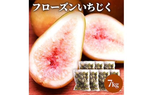 フローズン いちじく7kg（1kg×7袋） 果物詰合せ フルーツ 冷凍 無花果
