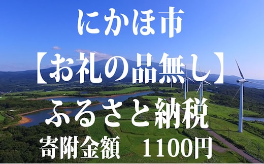 寄付のみの応援受付！1，100円コース（寄附のみ 返礼品なし） チケット 