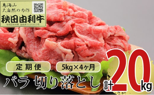 《定期便》4ヶ月連続 秋田由利牛 バラ切り落とし 5kg（1kg×5パック）