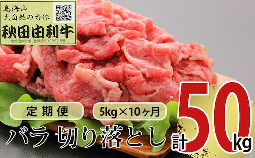 《定期便》10ヶ月連続 秋田由利牛 バラ切り落とし 5kg（1kg×5パック）