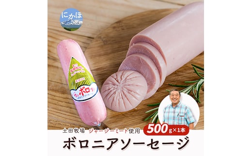 生食OK！ジャージーミート使用 ボロニアソーセージ500g×1本