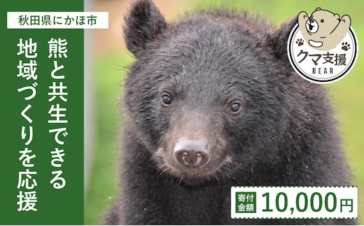 《クマといい距離プロジェクト》寄附のみ10,000円