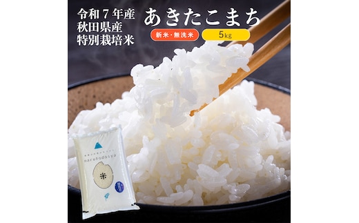 【令和7年産新米】【無洗米】特別栽培米あきたこまち5kg×1 米 コメ こめ 秋田県産 国産米