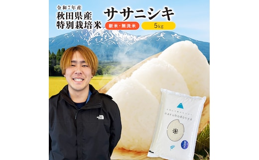 【令和7年産新米】栽培期間中 農薬・化学肥料不使用 【無洗米】特別栽培米ササニシキ5kg×1