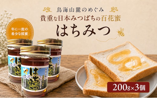 日本みつばちのはちみつ 百花蜜 3個セット 200g×3個 ( 蜂蜜 国産 ) はちみつ ハチミツ 秋田県 にかほ