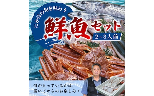 鮮魚 冷蔵 クール便「 開けたらすぐ食べられる下処理済み 海産物 2～3人前 セット 」さとう鮮魚店【 パック 詰め合わせ 海鮮セット 鮮魚ボックス 海鮮 海の幸 魚介 魚介類 刺身 切り身 秋田県 にかほ 】
