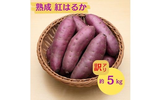 にかほ市 象潟町 大須郷産「 さつまいも 2ヶ月 熟成 紅はるか 不揃い 5kg 」【 産地直送 国産 芋 おいも 定番 焼き芋 イモ 野菜 不揃い 長期熟成 秋田県 にかほ】