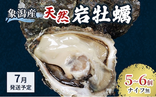 象潟産 天然岩牡蠣 5～6個 ナイフ無【 牡蠣 夏牡蠣 かき 象潟 生食可 魚介類 海鮮 海産物 海の幸 】 さとう鮮魚店