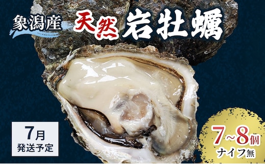 象潟産 天然岩牡蠣 7～8個 ナイフ無【 牡蠣 夏牡蠣 かき 象潟 生食可 魚介類 海鮮 海産物 海の幸 】 さとう鮮魚店