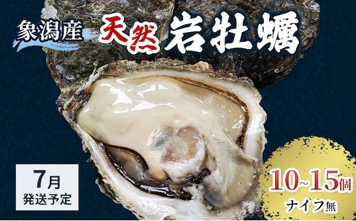 象潟産 天然岩牡蠣 10～15個 ナイフ無【 牡蠣 夏牡蠣 かき 象潟 生食可 魚介類 海鮮 海産物 海の幸 】 さとう鮮魚店