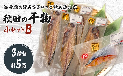 干物小セットB 5品 ＜トロさば（塩）×2 トロさば（みりん）×2 鮭（甘口)×1＞【 にかほ市 干物 干し物 魚 贈り物 晩御飯 おつまみ 冷凍 保存 】