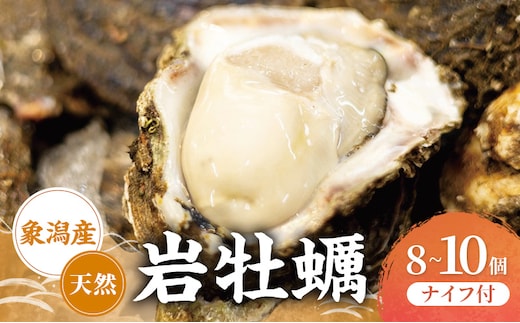 【先行予約 7月上旬～下旬発送予定】象潟産 天然岩牡蠣 8～10個 ナイフ付【牡蠣 夏牡蠣 かき 象潟 生食可 魚介類 海鮮 海産物 海の幸】 